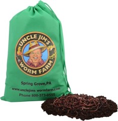 Red Wiggler Mix Composting Worms