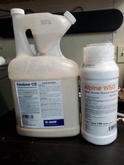 Alpine WSG Insecticide – 500g Bottle With Bonus Bottle Of Fen. Cs