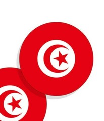 Tunisia Flag Stickers Flag Decals Round Indoor Outdoor Circles Tunisia 4 pack