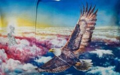 MyPillow Go Anywhere Pillowcase LAND OF THE FREE (12″ x 18″) Travel Size NIP