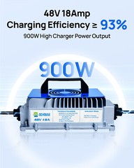 DC HOUSE Pro Metal Case 48V 100Ah Lithium Golf Cart Battery with 18A Charger