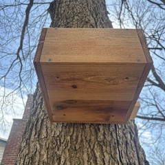 Large Solid Cedar Backyard Squirrel House Nesting Box – Wooden W Preditor Guard