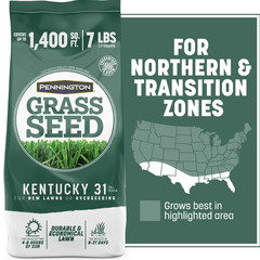 Kentucky 31 Tall Fescue Grass Seeds for Lawn, for Sun to Partial Shade, 7 Lb