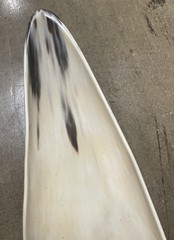 ANKOLE CATTLE LONG NARROW LIGHT COLOR NATURAL HORN BOWL 19” X 5” UGANDA