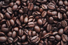 100% Jamaican Blue Mountain Coffee Beans Dark Roasted Daily 2 to 10 Pounds