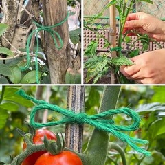 805ft Garden Twine for Gardening Climbing 2mm (1/12 In)×805ft (246m) Christmas