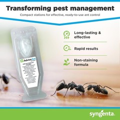 Syngenta Advion Ant Gel Station Insecticide Indoor Outdoor Ant Bait 3 Stations