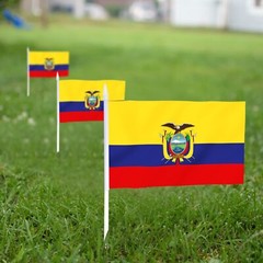 Anley Ecuador Mini Flag 12 Pack – Hand Held Small Miniature Ecuadorian Flags