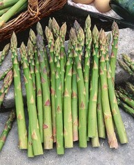 Mary Washington Asparagus Seeds, NON-GMO, ORGANIC, HEIRLOOM – Free Shipping!