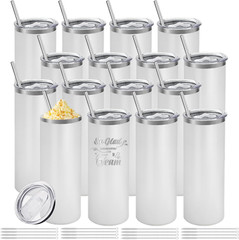 16 Pack 20oz Stainless Steel Tumblers with Lid & Straw – DIY Gift Ready