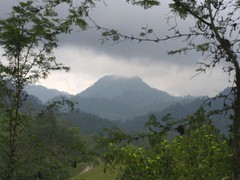 Guatemalan Huehuetenango Coffee Beans Medium Roasted 2 Pounds