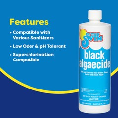 In The Swim Black Algaecide – Eradicates Black Algae in Swimming Pools – Copper