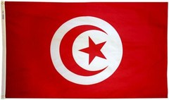 Tunisia Africa Flag 3×5 Annin 198585 NYL-GLO High Quality Free Priority Shipping