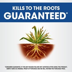 Roundup Weed & Grass Killer4 Concentrate, 1 gal.