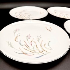 Norcrest AUTUMN BREEZE 10.25” Dinner Plates SET/4 Porcelain Silver Rim VTG Japan
