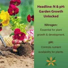100 Soil Test Strips pH & Nitrogen Tester Kit Garden Lawn Plant Soil Test Kit