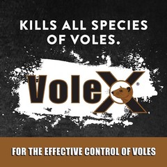 VoleX® – Kills All Species of Voles – Safe for Use Around People and Pets