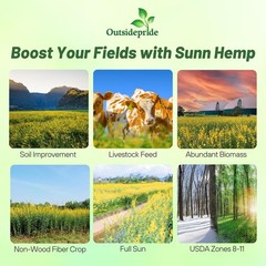 5 LBS Annual Sunn Hemp Pasture, Forage, and Cover Crop Seed
