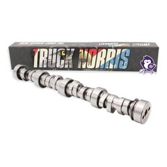 BTR TRUCK NORRIS Cam Kit with Pushrods, Delphi Lifters & Trays LS 4.8 5.3 6.0