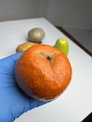 Vintage Paper Mache Faux Food Vegetables & Fruit Lot of 5 Handmade Garlic Pear