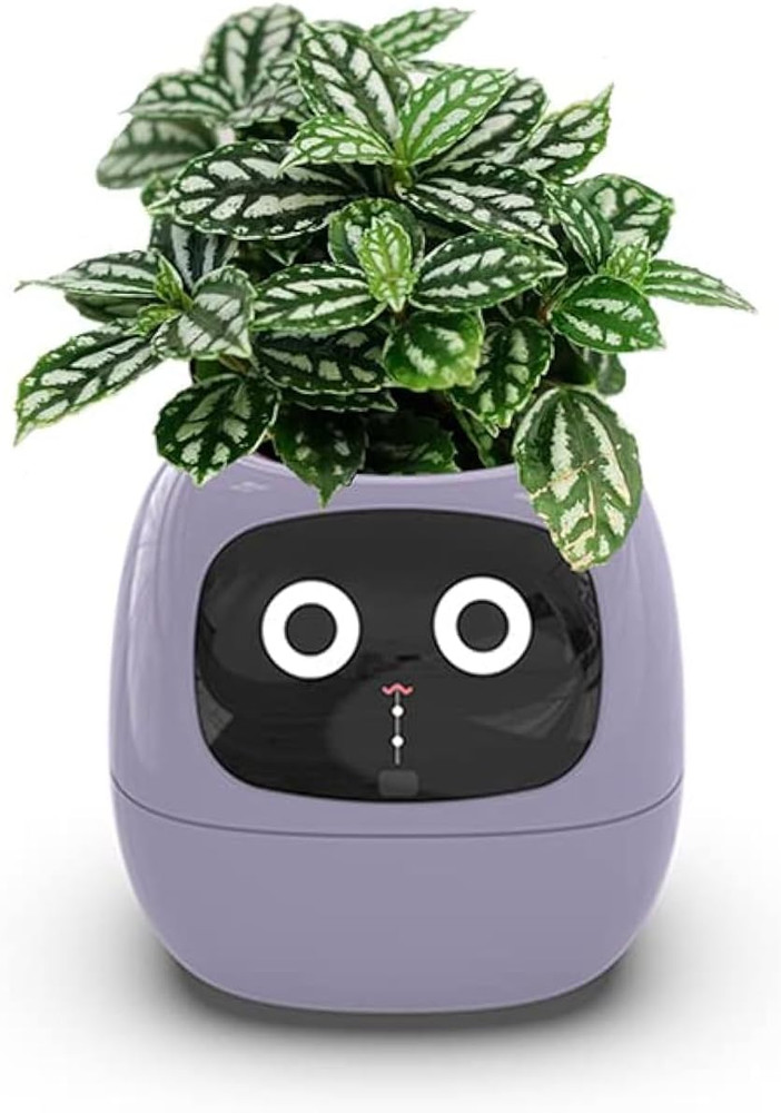 Smart Flowerpot, Intelligent Planter, Multiple Expressions, 7 Smart Sensors & Ai