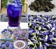 Butterfly Pea Flower Tea 100g – Ideal for 500 cups or more, Premium Dried Flower
