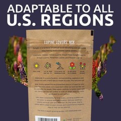 Bulk Lupine Mix Wildflower Seeds 1/4 Pound Bag – Over 4500 Untreated Annual a…