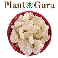 White Copal Resin Incense 100% Pure Natural Gum Dammar Rock Granular
