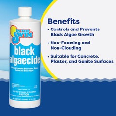 In The Swim Black Algaecide – Eradicates Black Algae in Swimming Pools – Copper