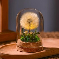 Forever Preserved Real Dandelion Gift For Women, Eternal Flower Gift For Mom New