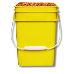 4 Gallon Square Plastic Bucket Food Grade BPA Free containers( Pack of 2 )Yellow