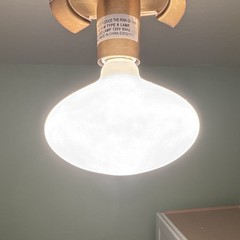 Tala OVAL Oval LED Lamp Bulb 6W 2700K 120V MPN OVAL-6W-2700K-E