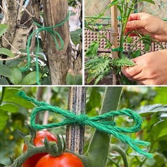 164 ft/805ft 2MM Garden Twine, Green Twine String for Gardening Tomato Climbing