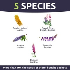 Bulk Lupine Mix Wildflower Seeds 1/4 Pound Bag – Over 4500 Untreated Annual a…