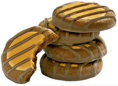 2026 Girl Scout Cookies ABC Bakery