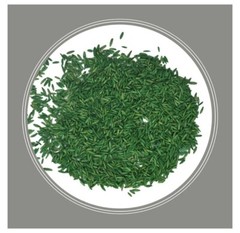Pennington Contractors Central Grass Seed Mix, for Sun to Partial Shade, 7 lb.