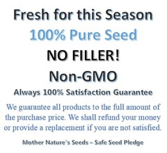 Cornflower / Bachelor Button FANTASTIC MIX Sun/Partial Shade Non-GMO 200 Seeds