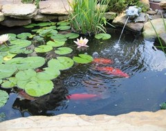 Durable 20 Mil 10 x 13 FT Fish Pond Liner – UV & Puncture Resistant for Outdoors