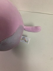 2026 Squishmallows Day ILSA THE CAT MEIJER EXCLUSIVE S8 #3116 Collectible Plush