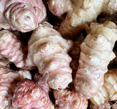 Wholesale Sunchokes: 20lb Jerusalem Artichoke – Individual Tubers For Planting