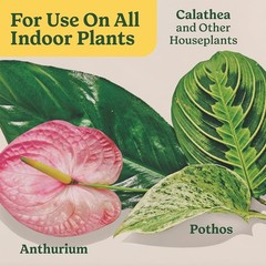Indoor Plant Food for All Plants 8 Fl. Oz., 2-Pack