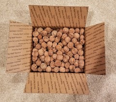 10 lbs. BLACK WALNUTS in the shell – Fall 2025 crop – our famous “squirrel nuts”