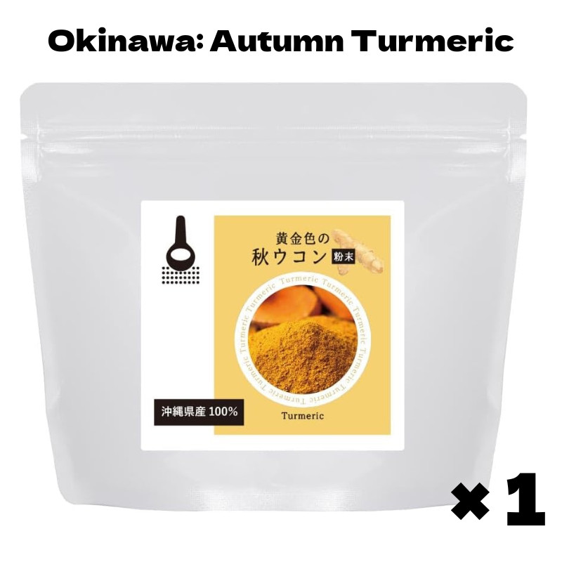 Okinawa Turmeric Powder 100g Natural Spice Japan Additive Free