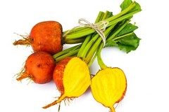 Beet Seeds Golden Detroit 50 Ct Heirloom Garden NON-GMO USA SELLER FREE SHIPPING