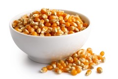 150 LADY FINGERS POPCORN CORN Zea Mays Vegetable Seeds *Flat S/H