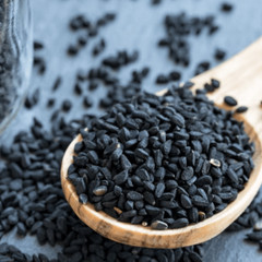 Black Cumin Seeds | Non-GMO | Herb Seeds | Seed Store | Free Shipping | 1148