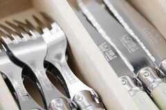 Laguiole Andre Verdier Flatware 20 Piece Set (Service for 4) | Debutant Fine…