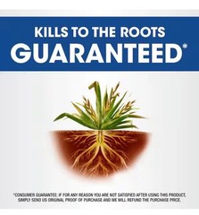 Roundup Concentrate 16 Fl Oz