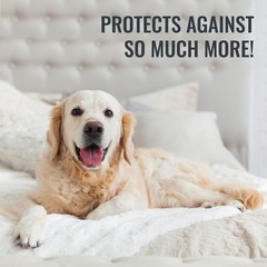 Protector De Colchon Impermeable, Protector/Funda De Colchon, Protector Y Fu…