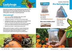 NaturesGoodGuys – Live Ladybugs – General predators